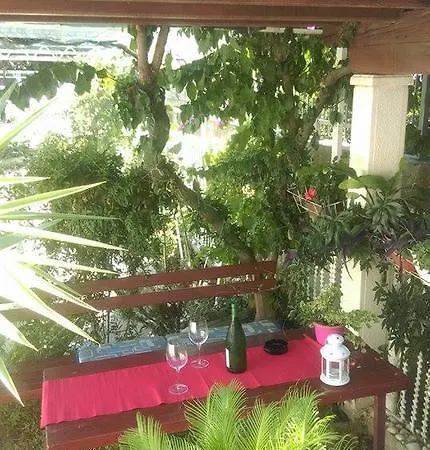 Apartament Danka