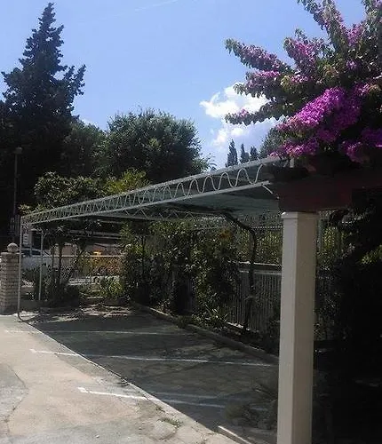 Danka אומיס