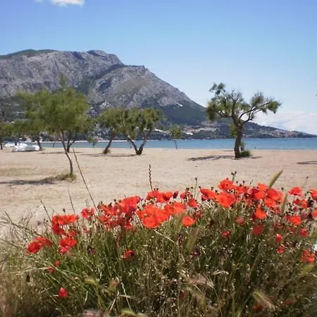 Apartment Danka Omis
